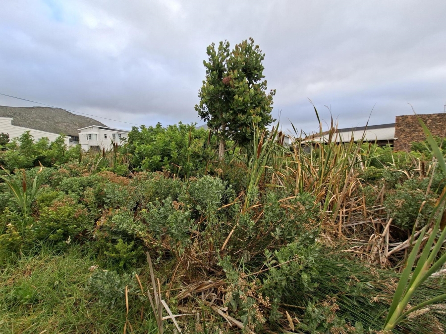 0 Bedroom Property for Sale in Pringle Bay Western Cape